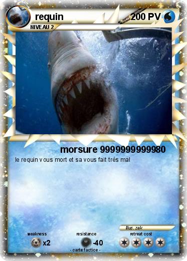 Pokemon requin