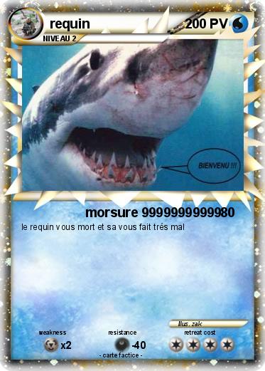 Pokemon requin