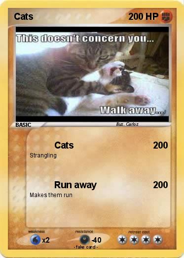 Pokemon Cats