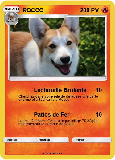Pokemon ROCCO