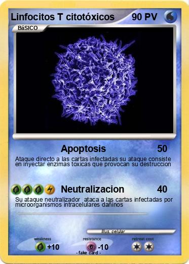Pokemon Linfocitos T citotóxicos