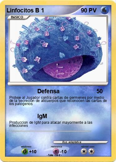 Pokemon Linfocitos B 1