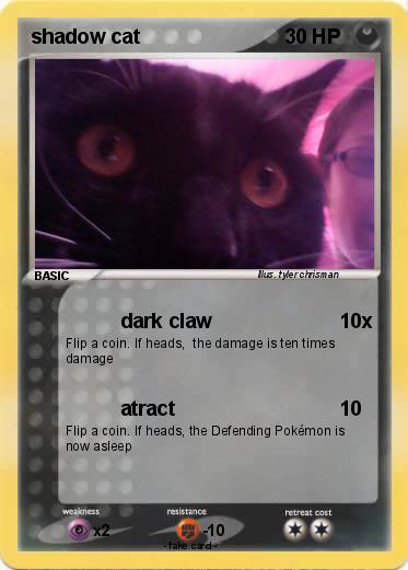 Pokemon shadow cat