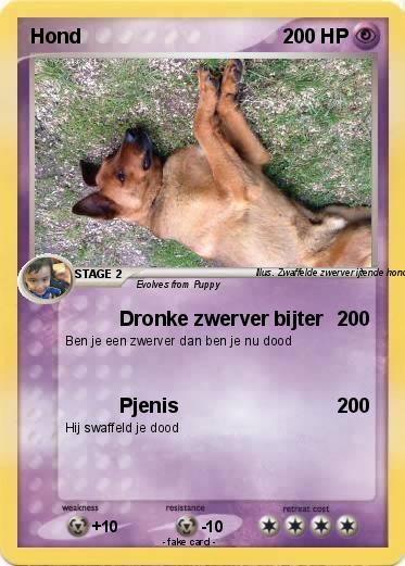 Pokemon Hond