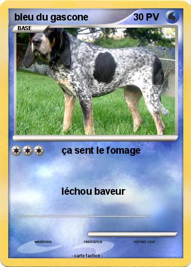 Pokemon bleu du gascone