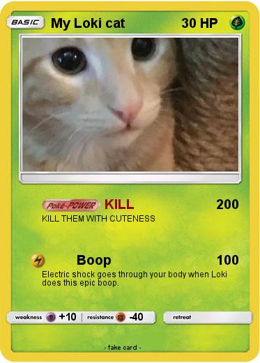 Pokemon My Loki cat