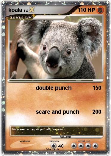 Pokemon koala