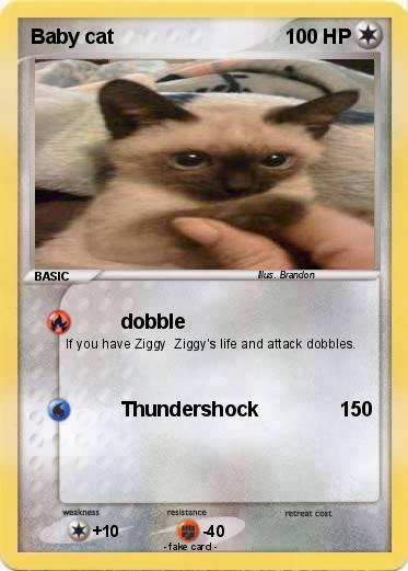 Pokemon Baby cat
