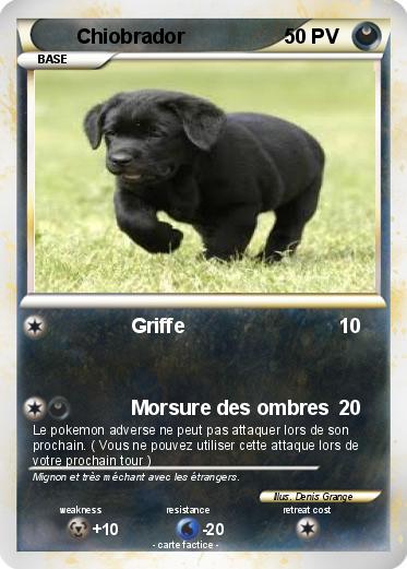 Pokemon Chiobrador