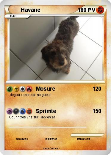 Pokemon Havane