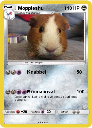 Pokemon Moppieshu