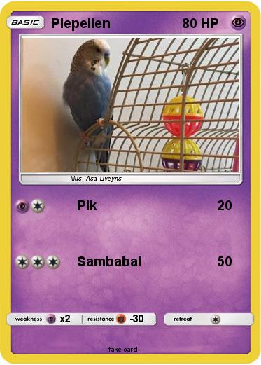 Pokemon Piepelien