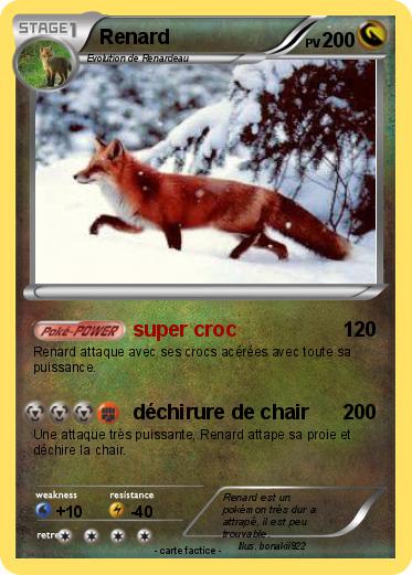 Pokemon Renard