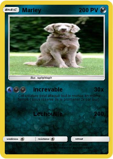 Pokemon Marley