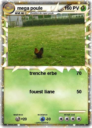 Pokemon mega poule