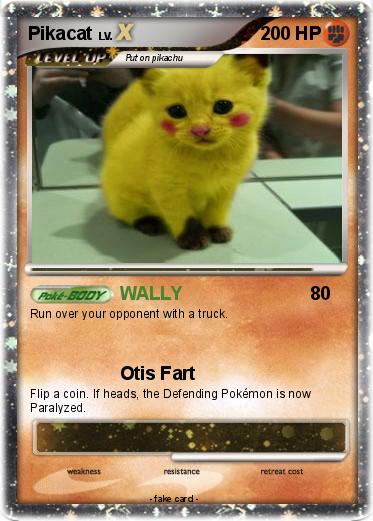 Pokemon Pikacat