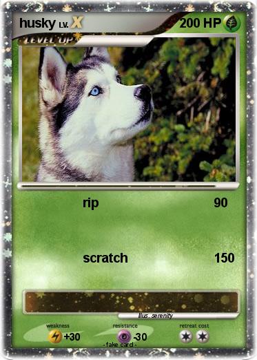 Pokemon husky