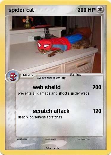Pokemon spider cat