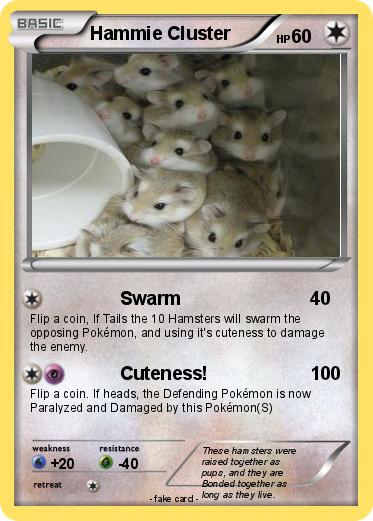Pokemon Hammie Cluster