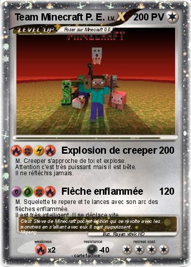 Pokemon Team Minecraft P. E.