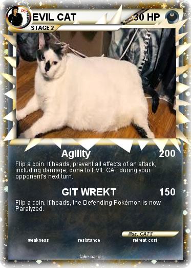 Pokemon EVIL CAT