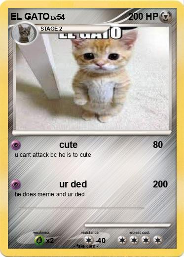 Pokemon EL GATO