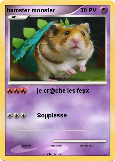 Pokemon hamster monster