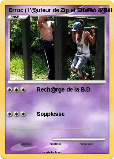 Pokemon Erroc ( l'@uteur de Zip et Sharko & Bill