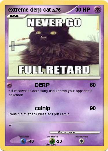 Pokemon extreme derp cat