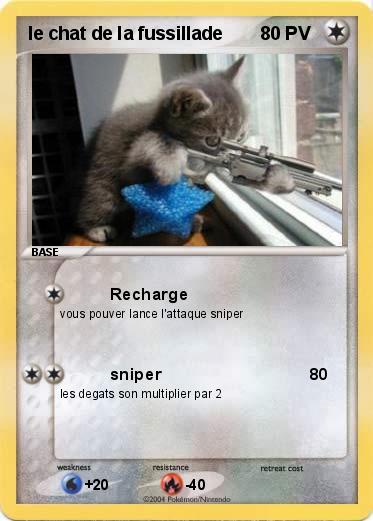 Pokemon le chat de la fussillade