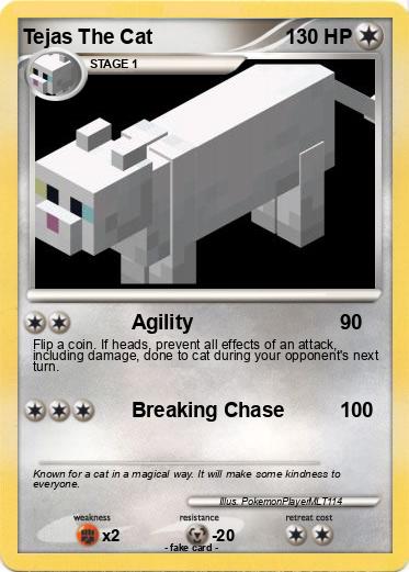 Pokemon Tejas The Cat