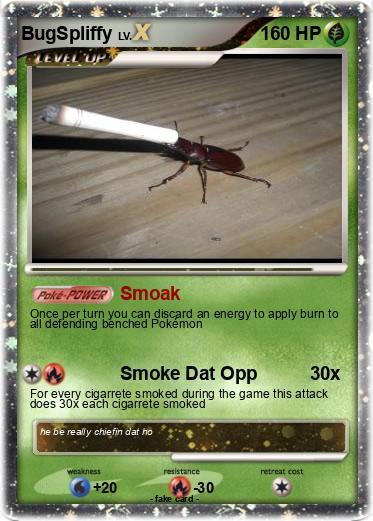 Pokemon BugSpliffy