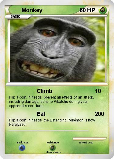 Pokemon Monkey