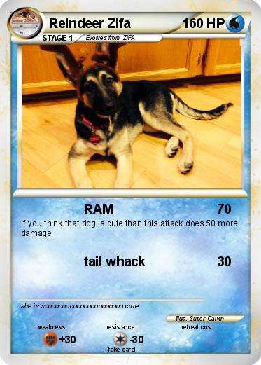 Pokemon Reindeer Zifa