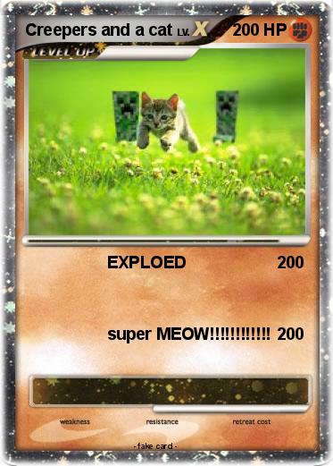 Pokemon Creepers and a cat