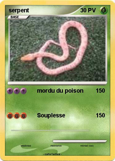 Pokemon serpent