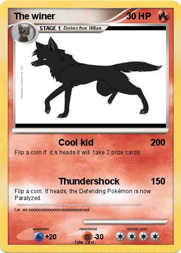 Pokemon The winer