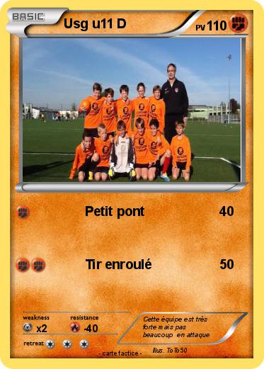 Pokemon Usg u11 D
