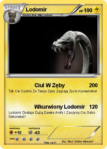 Pokemon Lodomir