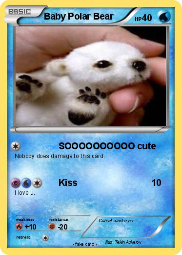 Pokemon Baby Polar Bear