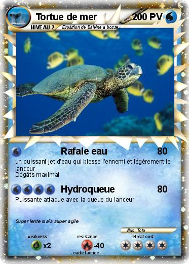 Pokemon Tortue de mer