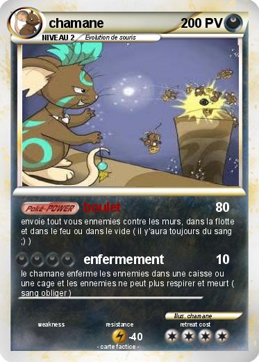 Pokemon chamane