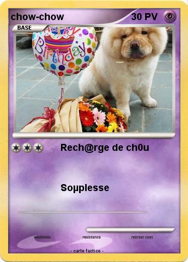 Pokemon chow-chow