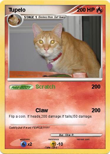 Pokemon Tupelo