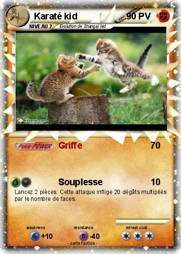 Pokemon Karaté kid