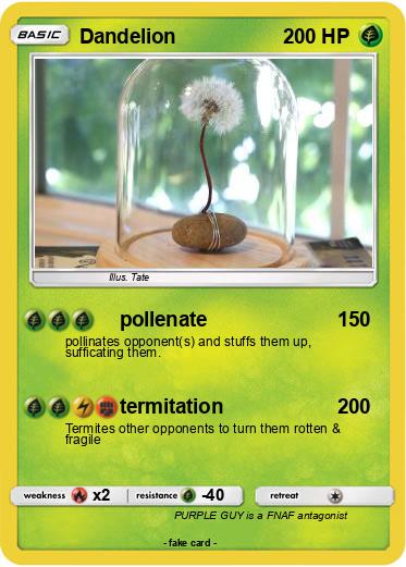 Pokemon Dandelion