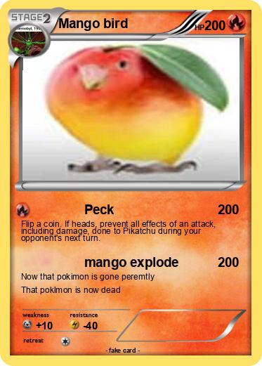 Pokemon Mango bird