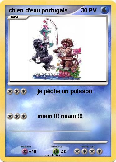Pokemon chien d'eau portugais