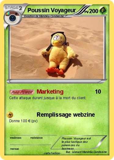 Pokemon Poussin Voyageur