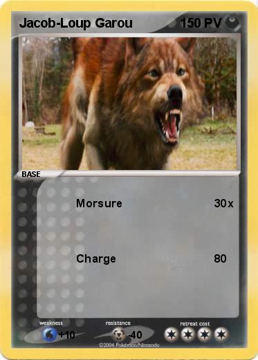 Pokemon Jacob-Loup Garou